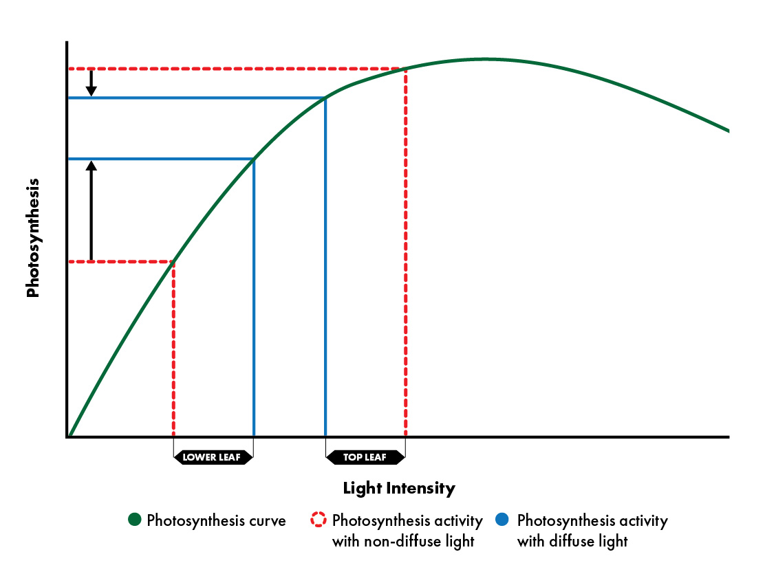 ReduSol, the basis of light control ReduSystems